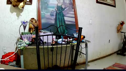 Snapshot of sailor_ruby7 chatting on 10.02.25 ruby chocoholic cakeholic coffeeholic cookieholic online show from 10.02.25