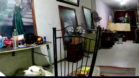 Snapshot of sailor_ruby7 chatting on 11.18.25 ruby chocoholic cakeholic coffeeholic cookieholic online show from 11.18.25