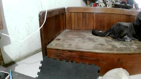 ruby  chocoholic cakeholic coffeeholic cookieholic online show from 04.24.26