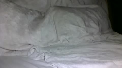 Snapshot of saintd17 chatting on 02.05.25 SD17 online show from 02.05.25