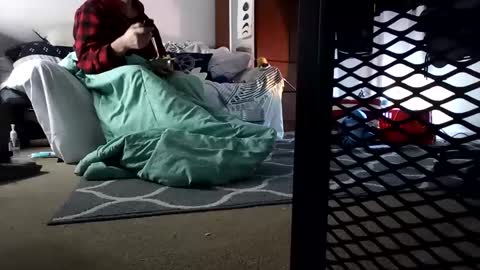 salis1981 online show from 02.07.25