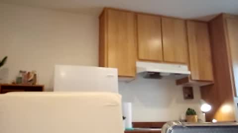 salis1981 online show from 03.02.25