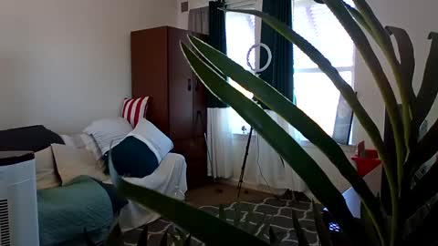 salis1981 online show from 03.03.25