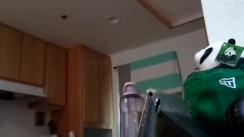 salis1981 online show from 09.18.25