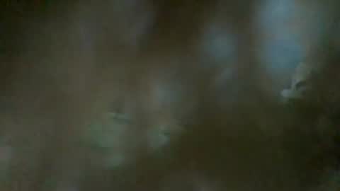 Snapshot of sam223382879 chatting on 01.01.25 sam223382879 online show from 01.01.25