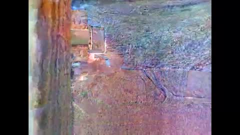 Snapshot of sam5554401727 chatting on 04.26.26 sam5554401727 online show from 04.26.26