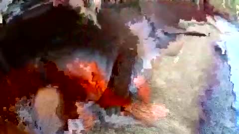 Snapshot of sam681820 chatting on 11.24.25 sam681820 online show from 11.24.25