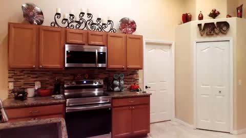 Snapshot of sam_papithebarber chatting on 11.15.25 sam_papithebarber online show from 11.15.25