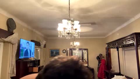 Snapshot of sam_papithebarber chatting on 11.29.25 sam_papithebarber online show from 11.29.25