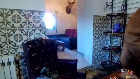 Snapshot of sam_papithebarber chatting on 12.20.25 sam_papithebarber online show from 12.20.25