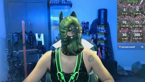 Snapshot of samael069 chatting on 12.11.24 samael069 online show from 12.11.24