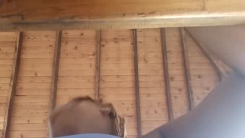 Alejandra  online show from 03.08.25