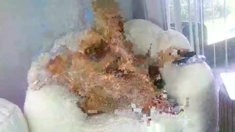 Samatha James online show from 03.31.26