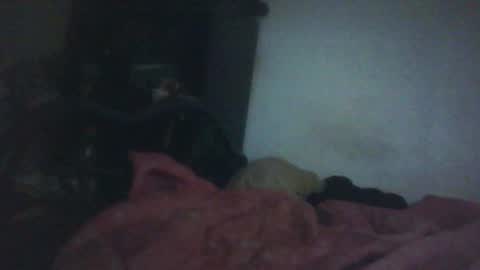 Snapshot of samedisamedi1nouveau chatting on 10.18.25 Samedisamedi1nouveau online show from 10.18.25