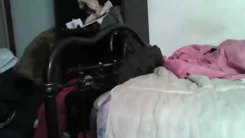 Snapshot of samedisamedi1nouveau chatting on 12.05.25 Samedisamedi1nouveau online show from 12.05.25