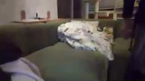 sammi_t online show from 07.19.26