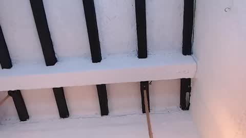 Sammy  online show from 02.20.26