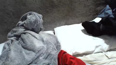 samuel987017 online show from 12.20.24