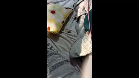 Snapshot of sanderray3 chatting on 02.12.26 ShynNkd online show from 02.12.26