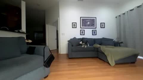 Santana online show from 04.12.26