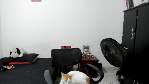 Julius Novachrono  online show from 07.17.26