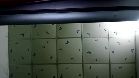 santichai561323 online show from 02.19.25