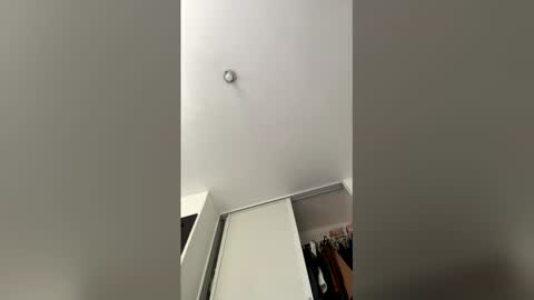 Snapshot of santos854237 chatting on 03.26.26 The toy online show from 03.26.26