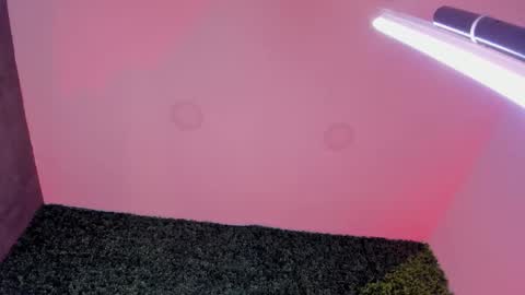 Snapshot of sarah_bonneth chatting on 02.26.26 Sarah Bonneth online show from 02.26.26