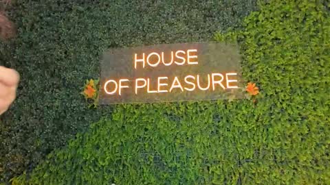 Snapshot of sarah_bonneth chatting on 03.14.26 Sarah Bonneth online show from 03.14.26