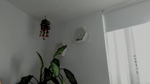 Saray  online show from 02.06.26