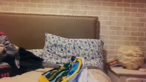 Snapshot of saretta46 chatting on 12.15.24 Sara online show from 12.15.24