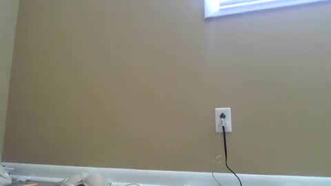 sarlynn online show from 02.20.25