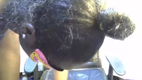 Snapshot of sasha_sexy769 chatting on 11.15.25 sasha_sexy769 online show from 11.15.25