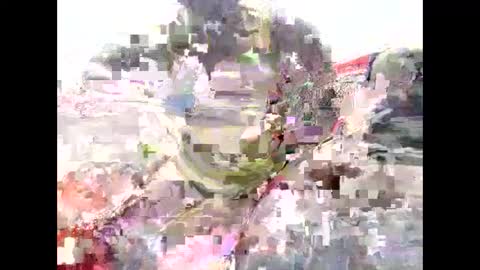 Cedar online show from 03.06.25