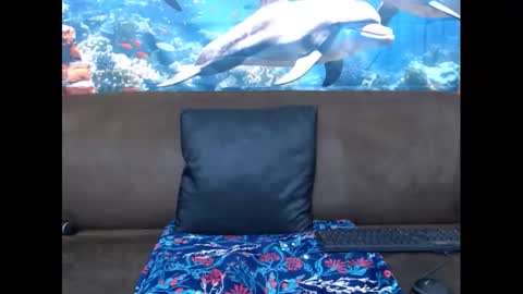 Snapshot of sasyylissaa chatting on 03.03.25 sasyylissaa online show from 03.03.25