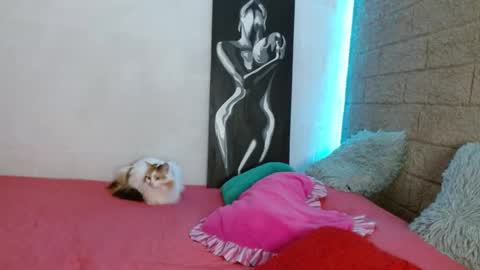 Sativa online show from 12.13.24