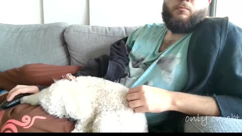 Ben online show from 12.11.24