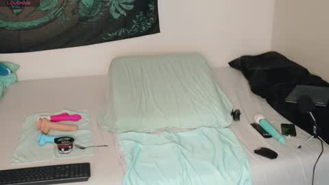 Bea online show from 12.29.24