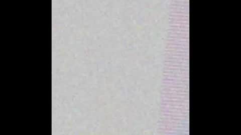 petperson04 online show from 03.20.26