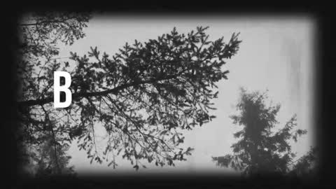 pronoun she. name Mary. age 21. online show from 03.19.26