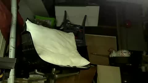 Snapshot of sbamx chatting on 12.17.24 Sbamx online show from 12.17.24