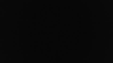 Snapshot of scaletta2 chatting on 11.05.25 scaletta2 online show from 11.05.25