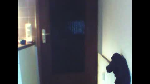 schnibschnab online show from 02.27.26