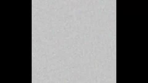 Scolw  online show from 12.15.25