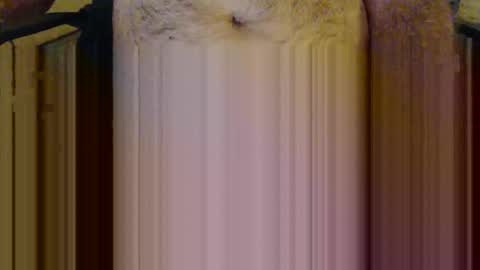 Snapshot of scott1usa chatting on 03.06.26 scott1usa online show from 03.06.26