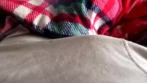 scotycar0408 online show from 03.20.26