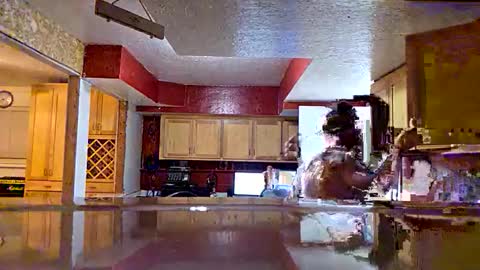 screwnutandbolte online show from 12.05.25