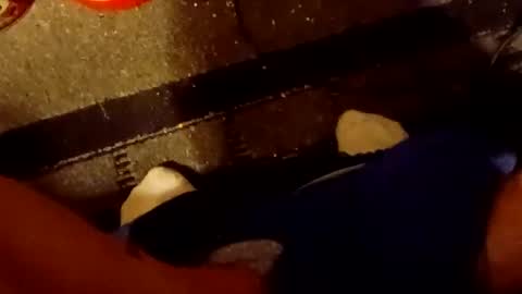 scruples99273286 online show from 10.05.25