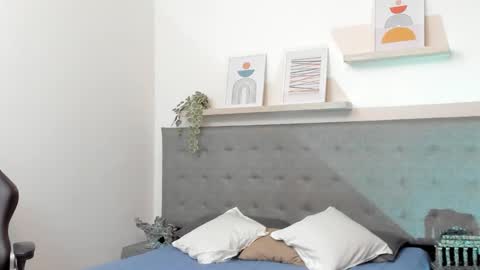 SEBAS online show from 02.13.26