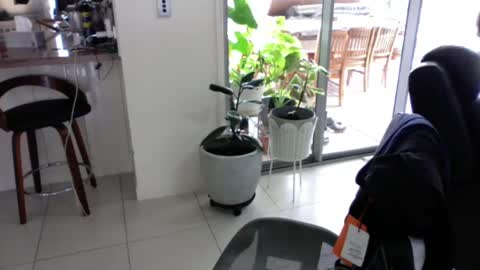 sebastianalll online show from 12.30.24